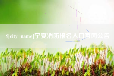 辽宁宁夏消防报名入口官网公告