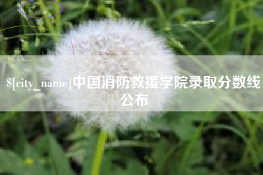 辽宁中国消防救援学院录取分数线公布