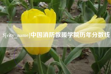 辽宁中国消防救援学院历年分数线