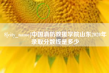 辽宁中国消防救援学院山东2020年录取分数线是多少