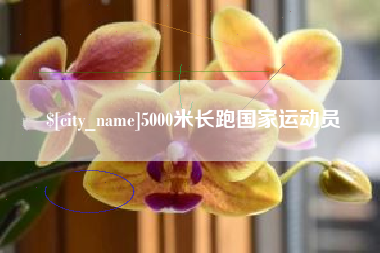 辽宁5000米长跑国家运动员