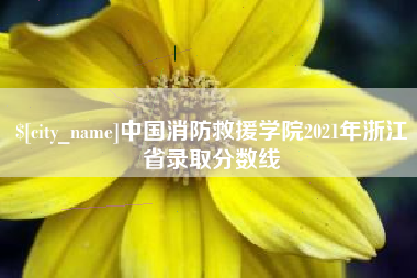 辽宁中国消防救援学院2021年浙江省录取分数线