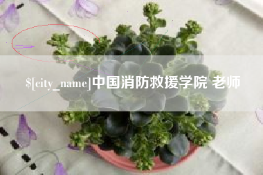 辽宁中国消防救援学院 老师