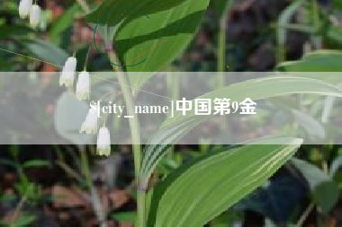 辽宁中国第9金