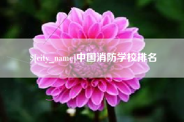 辽宁中国消防学校排名