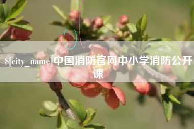 辽宁中国消防官网中小学消防公开课