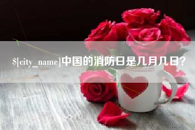 辽宁中国的消防日是几月几日？