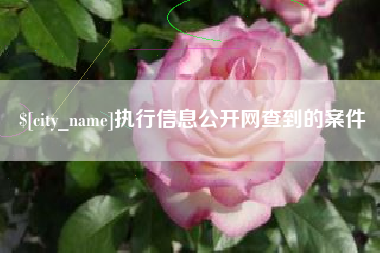 辽宁执行信息公开网查到的案件