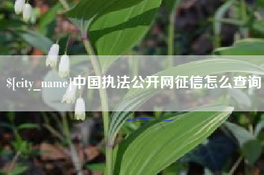 辽宁中国执法公开网征信怎么查询