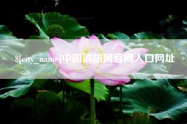 辽宁中国消防网官网入口网址