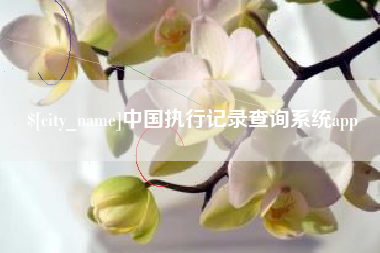 辽宁中国执行记录查询系统app