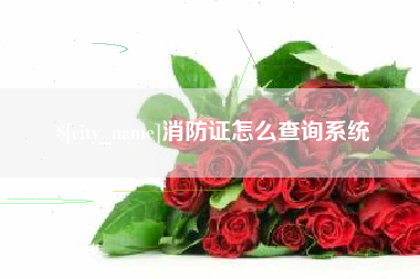辽宁消防证怎么查询系统