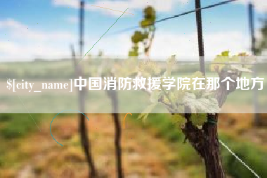 辽宁中国消防救援学院在那个地方