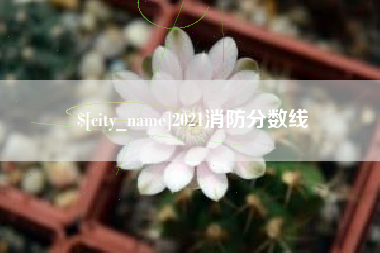 辽宁2021消防分数线