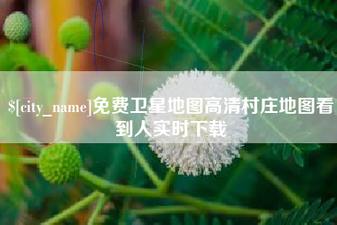 辽宁免费卫星地图高清村庄地图看到人实时下载