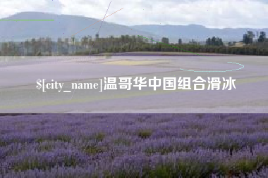 辽宁温哥华中国组合滑冰