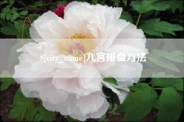 辽宁九宫排盘方法