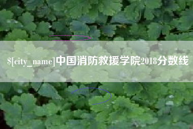 辽宁中国消防救援学院2018分数线