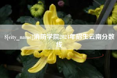 辽宁消防学院2024年招生云南分数线