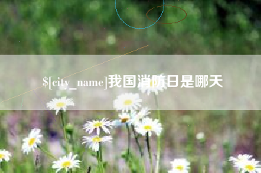 辽宁我国消防日是哪天
