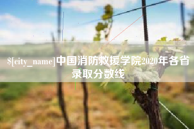 辽宁中国消防救援学院2020年各省录取分数线