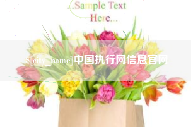 辽宁中国执行网信息官网