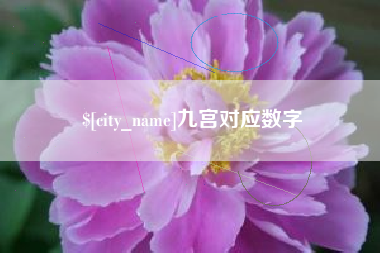 辽宁九宫对应数字
