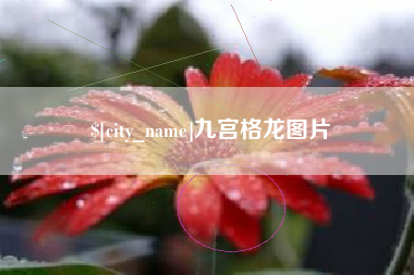 辽宁九宫格龙图片