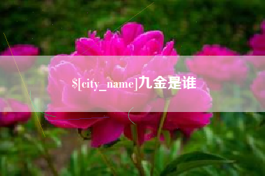辽宁九金是谁