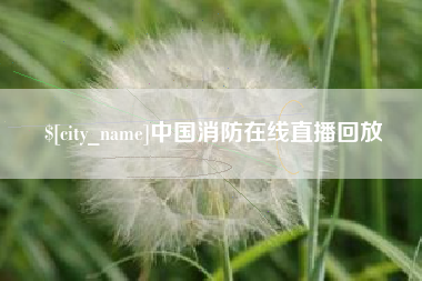 辽宁中国消防在线直播回放
