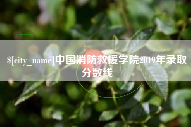 辽宁中国消防救援学院2019年录取分数线