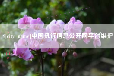 辽宁中国执行信息公开网平台维护