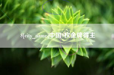 辽宁中国9枚金牌得主