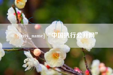 辽宁“中国执行公开网”