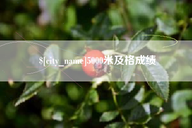 辽宁5000米及格成绩