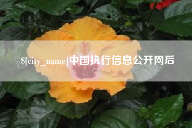 辽宁中国执行信息公开网后