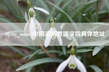 辽宁中国消防救援学院具体地址