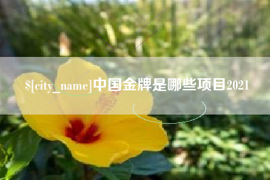辽宁中国金牌是哪些项目2021