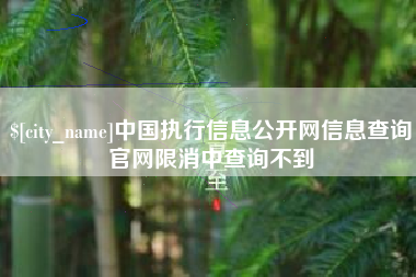 辽宁中国执行信息公开网信息查询官网限消中查询不到