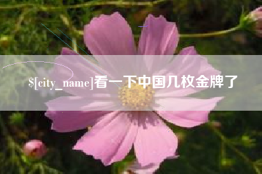 辽宁看一下中国几枚金牌了