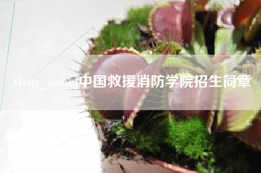 辽宁中国救援消防学院招生简章
