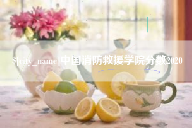 辽宁中国消防救援学院分数2020