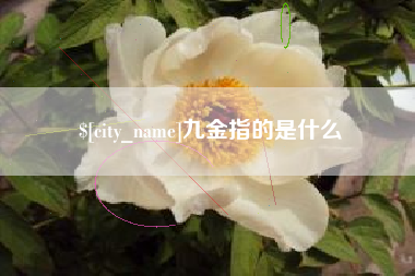 辽宁九金指的是什么