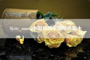 辽宁中国消防学院排名前十