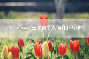 辽宁王子豪个人简介乒乓球