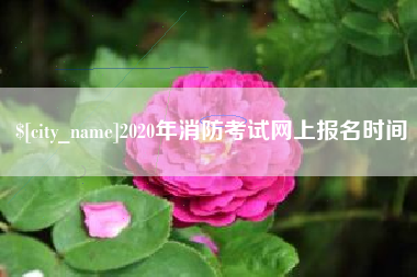 辽宁2020年消防考试网上报名时间