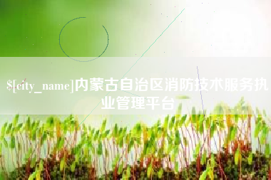 辽宁内蒙古自治区消防技术服务执业管理平台