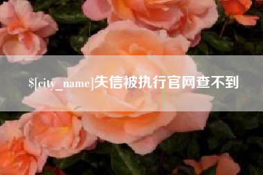 辽宁失信被执行官网查不到