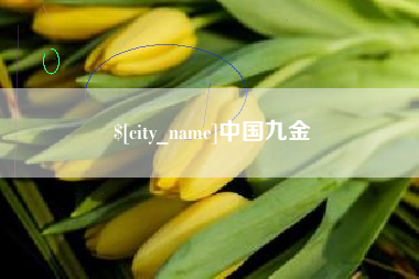 辽宁中国九金