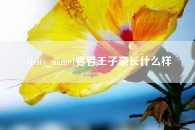 辽宁看看王子豪长什么样